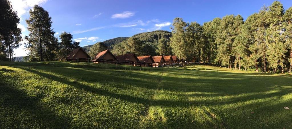 Pousada Sao Luiz - Monte Verde Hotel Monte Verde  Ngoại thất bức ảnh